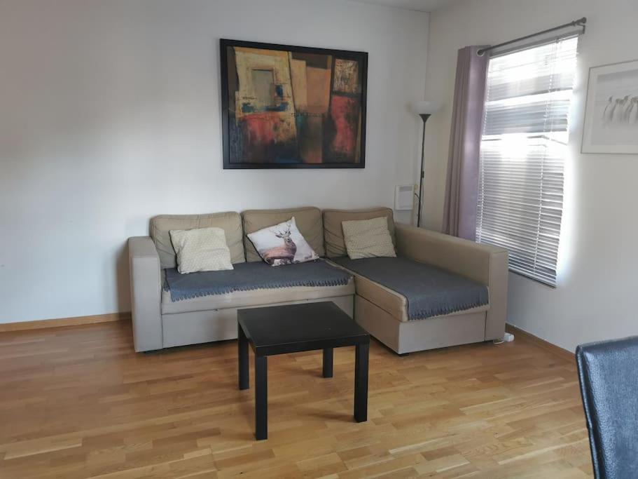 Lejlighed 1-bedroom In Heart Of The